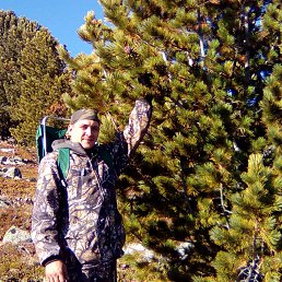 ����, �����-�������, 37 ���