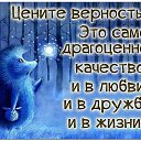 ���� *��������*, �����-���������, 44 ���� - ��������� 15 ������ 2017 � ������ ������ ��������
