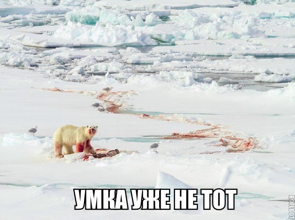     - 19  2016  15:52
