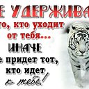 ���� ��������, ���������, 47 ��� - ��������� 15 ������� 2016 � ������ ���� ����������