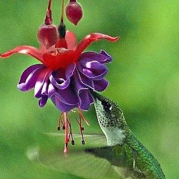 ���� ���, ����� - ��������� 24 �������� 2016