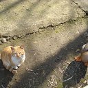 ���� ��������, �������� - ��������� 23 ������� 2016 � ������ ���� ����������