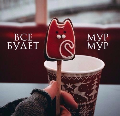    - 10  2017  15:51