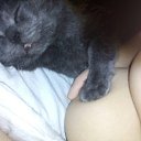 ���� ����, ���������� - ��������� 11 ������� 2016 � ������ ������ ��������