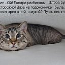 ���� Okci, ������, 48 ��� - ��������� 17 ������� 2016 � ������ ������ ��������