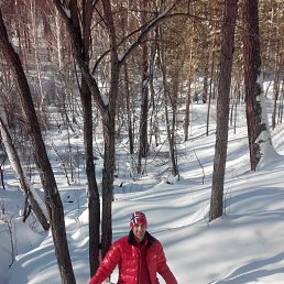 ����, �������, 51 ���