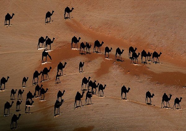 10 фотографий без фотошопа, где реальность граничит с иллюзией. - 7