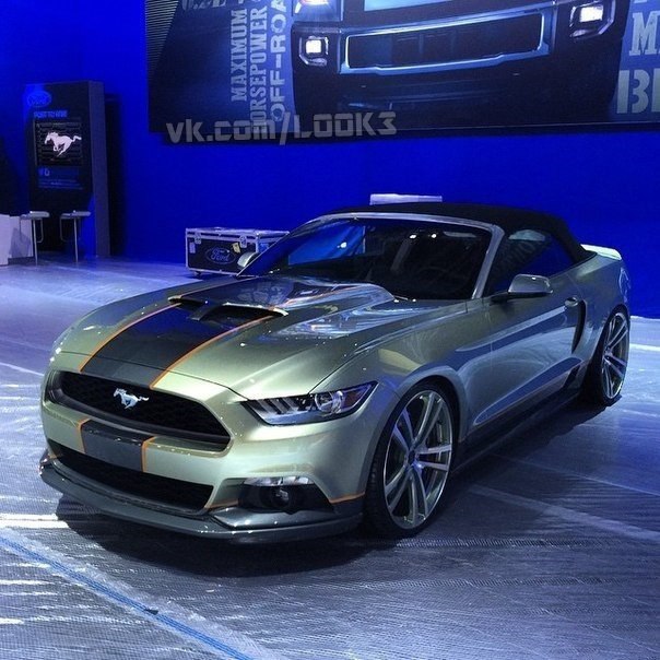 Mustang' 2015   . - 5