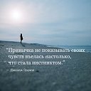 ���� ����� ���������, �����, 47 ��� - ��������� 30 ������� 2016 � ������ ������ ��������