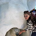 ���� ����, �����������, 48 ��� - ��������� 5 ������ 2017