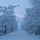 ���� �����, ��������, 46 ��� - ��������� 8 ������ 2016 � ������ ���� ����������
