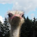 ���� �����, ���� - ��������� 15 ������� 2017 � ������ ���� ����������