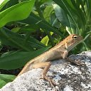 ����� �� ������. �� ������� �������..����� ��� 2017.�