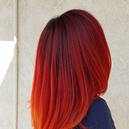 ������, ������ ��������, 41 ���