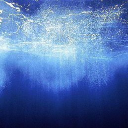 ���� ��������, �����������, 41 ��� - ��������� 16 ������ 2017