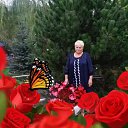 ���� �������, �������, 72 ���� - ��������� 4 ������� 2016 � ������ ���� ����������