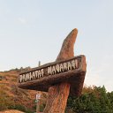 ���� ������, �������-���������, 49 ��� - ��������� 5 ������ 2017 � ������ ���� ����������
