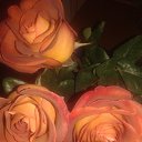���� �����, �������, 57 ��� - ��������� 12 ������� 2017 � ������ ���� ����������