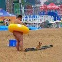 ���� �������, ������������� - ��������� 10 �������� 2016 � ������ ������ ��������