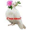 ���� Ilqar, ����, 58 ��� - ��������� 28 ������� 2016