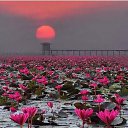 ���� ����, ��������� - ��������� 16 ����� 2017 � ������ ���������