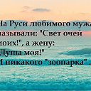 ���� ������, ���������, 42 ���� - ��������� 21 ������ 2016 � ������ ������ ��������