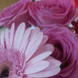 Nadegda, ������, 59 ���