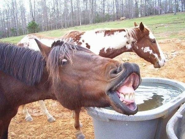 ...поделиться постом, как я обычно получаюсь на фотографиях :) - 6