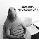 ���� ������, ���������, 49 ��� - ��������� 2 ������� 2017 � ������ ���� ����������