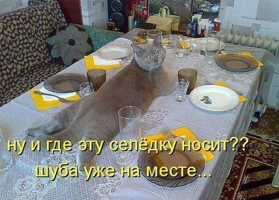https://fotostrana.ru/away?to=/sl/2wC2 -   - 31  2016  09:16