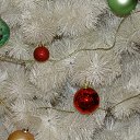 ���� �����, �����, 61 ��� - ��������� 24 ������� 2016 � ������ �������