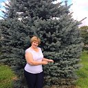  ,  , 63  -  24  2016    