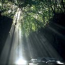  Karen, , 53  -  6  2017    