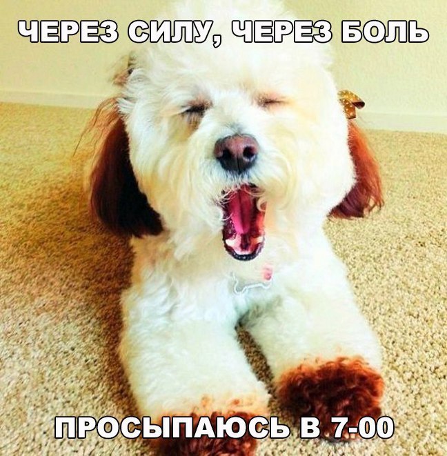    :D - 18  2016  14:36