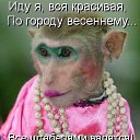 ���� A, ���� - ��������� 5 ������� 2017 � ������ ���� ����������