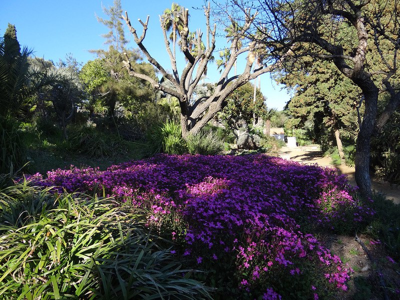    . . (Jardi Botanic Marimurtra)  ... - 32