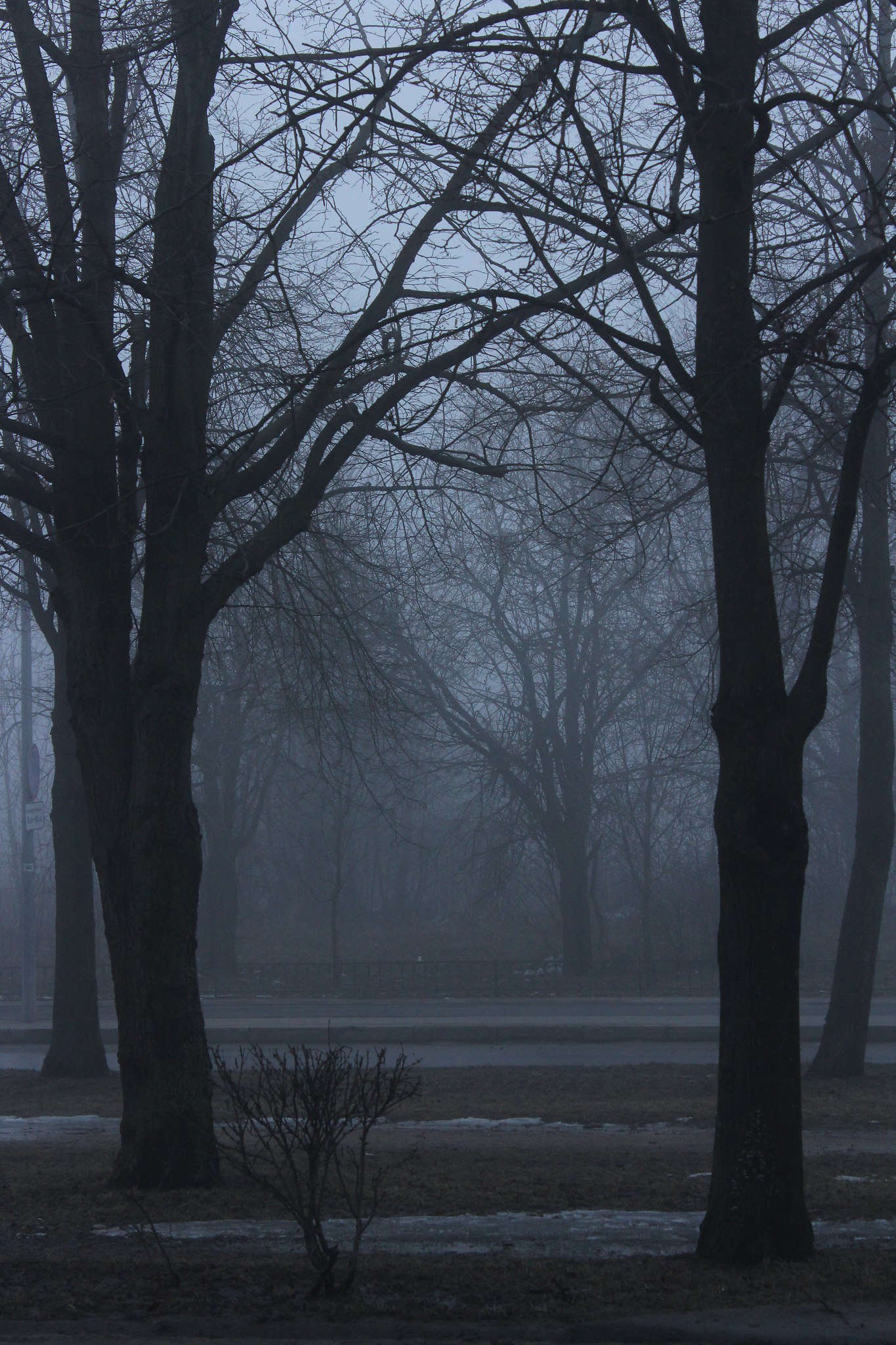  - 13  2017  16:54 - 9