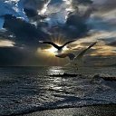 ���� Luda, ��������� - ��������� 2 ������ 2016 � ������ ������ ��������