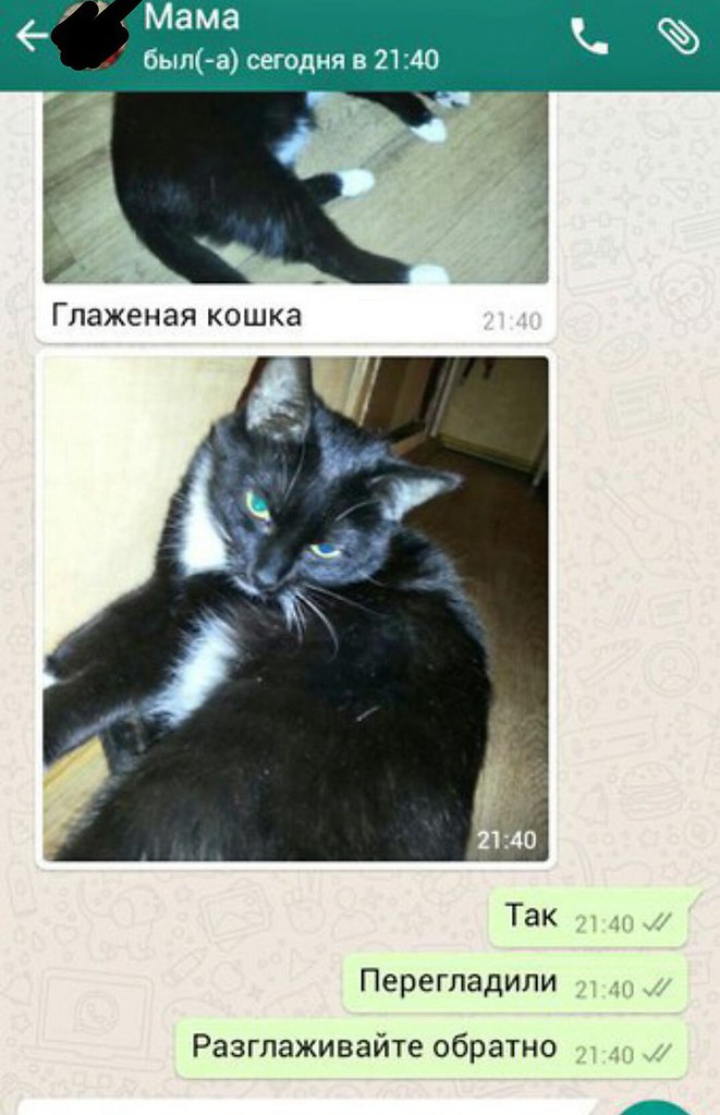 Уехал из родительского дома, но некоторые вещи приходится контролировать дистанционно - 2