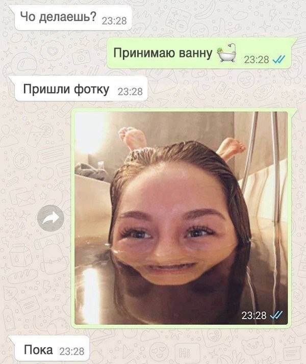 ,   ,    - 13  2017  06:55