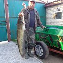 ���� ��������, �������, 61 ��� - ��������� 29 �������� 2016 � ������ ���� ����������