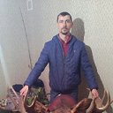 ���� ����������, ���������, 43 ���� - ��������� 28 ������� 2017 � ������ ���� ����������