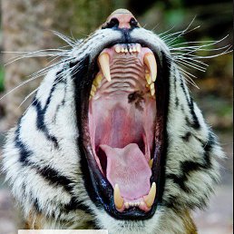 ���� Sergey, �����������, 49 ��� - ��������� 21 ������� 2016