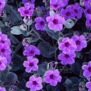 ���� ��������, �����-���������, 45 ��� - ��������� 19 ������� 2016 � ������ ������ ��������