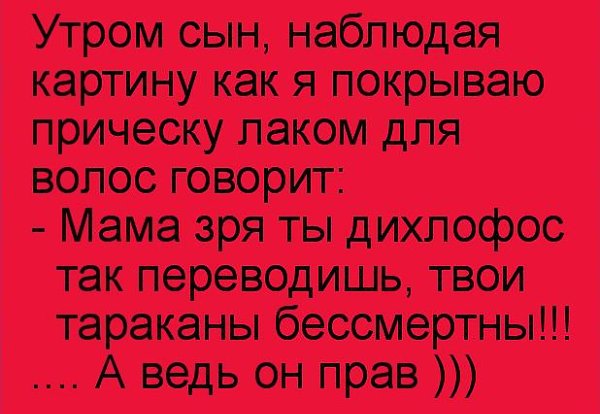 Купили увлажнитель воздуха....кота не слышно третий час ))))) - 3
