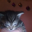 ���� �����, ����� - ��������� 8 ������ 2016 � ������ ���� ����������