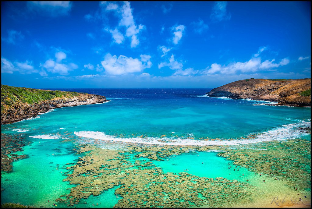   -     .  (Hanauma Bay)   