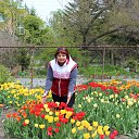 ���� �����, ����������� - ��������� 8 ������ 2016 � ������ ������ ��������