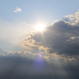 ���������, �����������