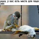 ���� ����, �������� - ��������� 21 ������ 2017 � ������ ������ ��������